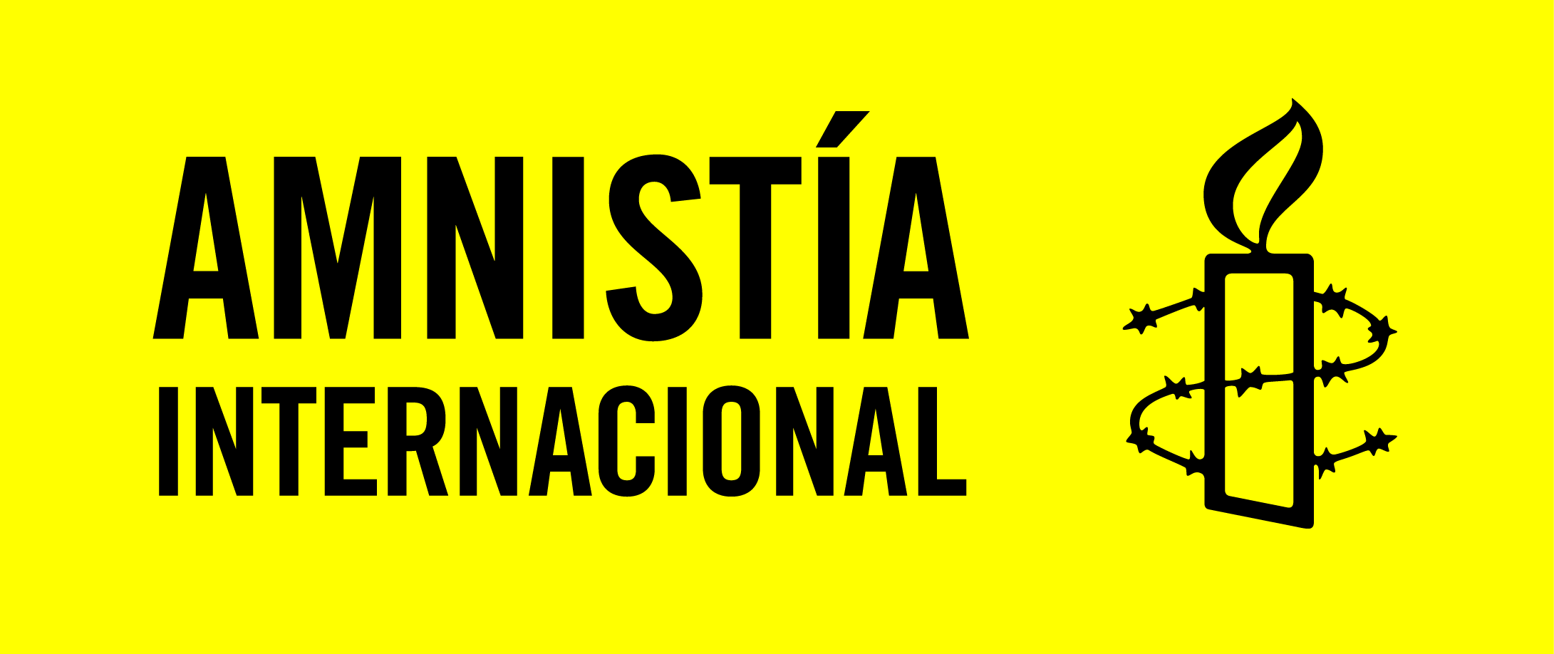 Plataforma de donaciones – Amnistia Internacional Chile